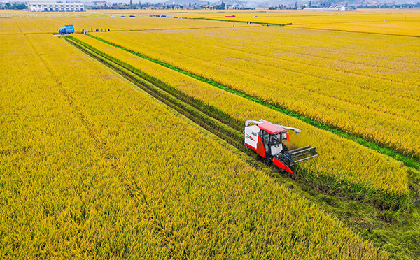 寧波古林大田數(shù)字農(nóng)業(yè)項(xiàng)目實(shí)景圖 寧波古林大田數(shù)字農(nóng)業(yè)項(xiàng)目實(shí)景圖