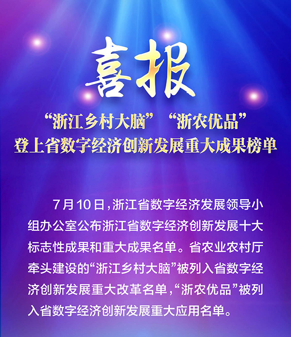 喜報！“浙江鄉村大腦”登上省數字經濟創新發展重大成果榜單