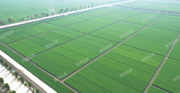 提升抗旱抗澇能力，做到旱能灌、澇能排